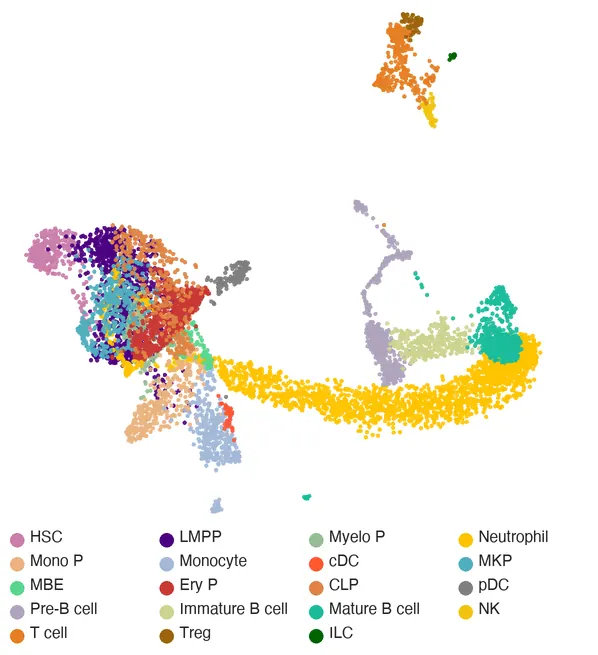 A 3D UMAP of bone marrow cells colored by cell type.