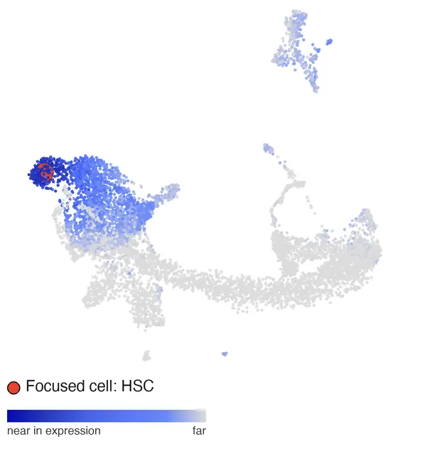 The same 3D UMAP colored by distance to a clicked stem cell: stem cells dark blue, mature cells grey.