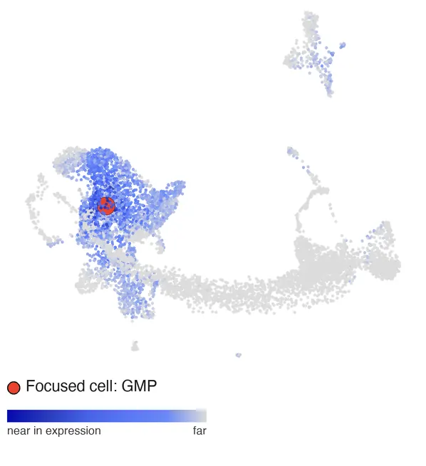 Distance to a clicked GMP: blue extends from the progenitors toward the monocyte progenitors.