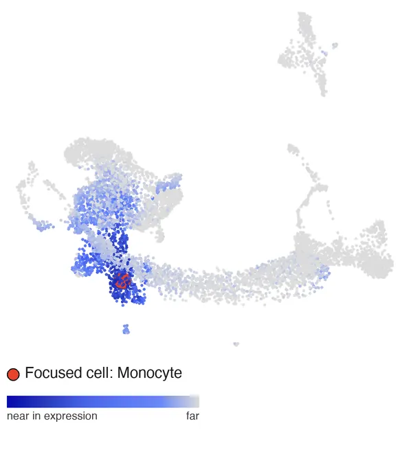 Distance to a clicked monocyte: monocytes dark blue, stem cells grey.