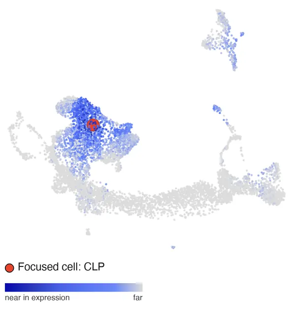 Distance to a clicked CLP: progenitors blue, the T and NK island faintly blue, neutrophils grey.