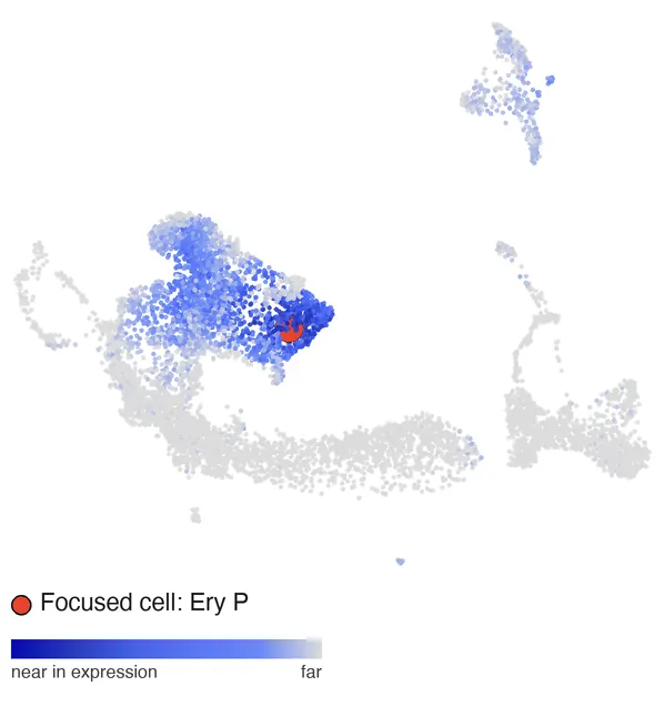 Distance to a clicked erythroid progenitor: the erythroid tip dark blue.